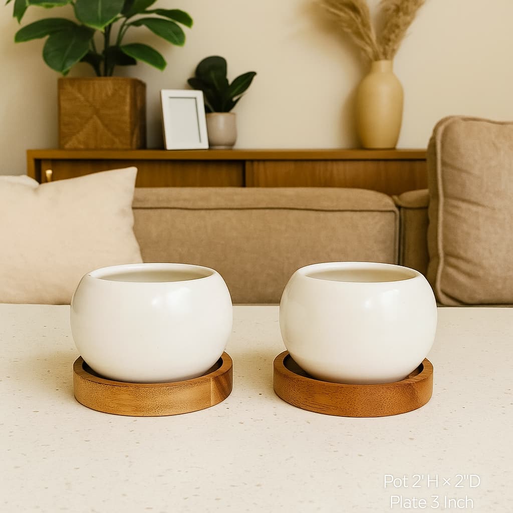 Small Indoor Pots